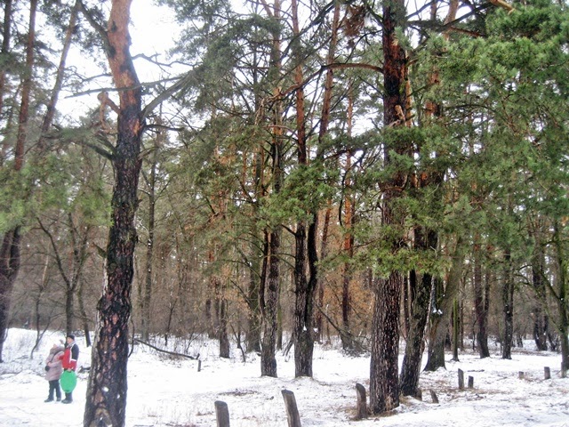 ЖК Грюнвальд фото 1